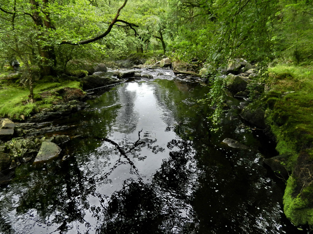 Ganllwyd, Llanelltyd